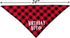 Birthday Boy Dog Bandana