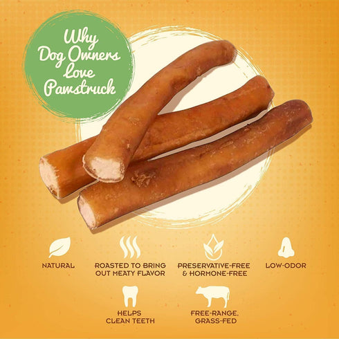 Pawstruck All-Natural 7" Bully Sticks for Dogs - Long Lasting, Rawhide Free, Low Odor & Grain Free Dental Chew