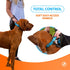 SparklyPets Heavy Duty Dog Collar with Handle for Medium and Large Dogs, Reflective Stitches, Soft Handle (Medium, Blue)
