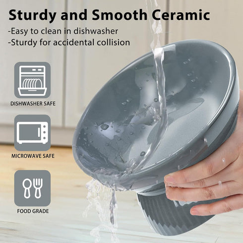 Elevated Ceramic Cat Bowl, Tilted Anti Vomiting Design, Spill-Proof and Dishwasher Safe for Indoor Cats