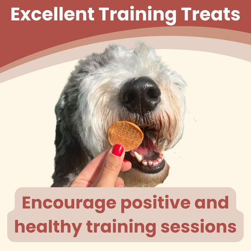 Dog Training Treats - Chicken Chips, Single Ingredient, Healthy Treats for All Dog Breeds and Puppies