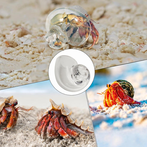 Generic Large Hermit Crab Shells | Hermit Crab Habitat - Glass Large Clear Reptiles Crustaceans Conch Habitat Ornaments