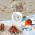 Generic Large Hermit Crab Shells | Hermit Crab Habitat - Glass Large Clear Reptiles Crustaceans Conch Habitat Ornaments