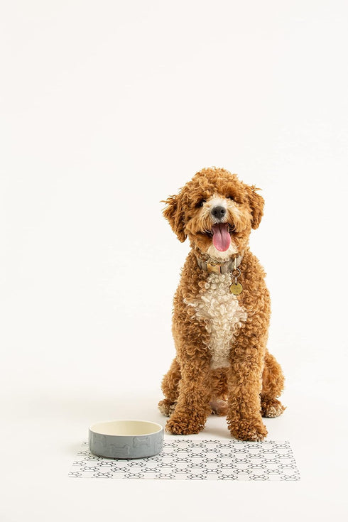 Mason Cash Ceramic Dog Bowl, 15 cm
