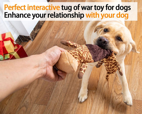 Squeaky Dog Toys for Boredom, No Stuffing Tug-of-War Toy with Crinkle Paper, Interactive Elastic Puppy Toys for All