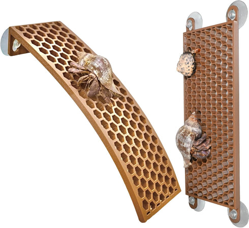 Hermit Crab Climbing Ladders (2-Pack) | Hermit Crab Tank Enrichment Decor |