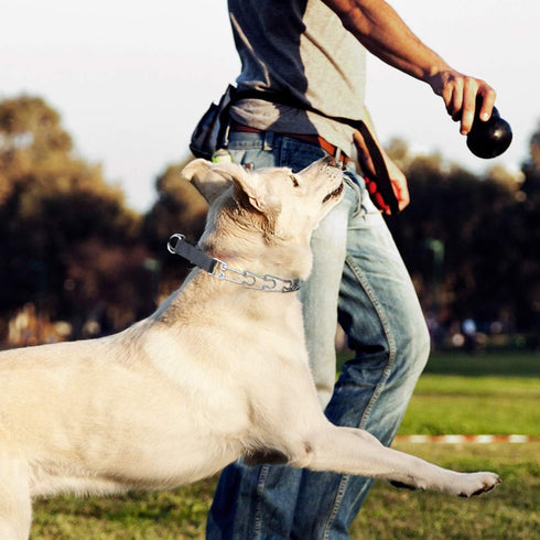 CBBPET Adjustable Dog Prong Collar with Quick Release Buckle for Small Medium Large Dogs