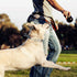 CBBPET Adjustable Dog Prong Collar with Quick Release Buckle for Small Medium Large Dogs