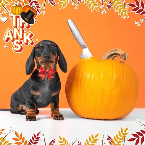 Maitys 40 Pcs Thanksgiving Dog Bow Ties - Autumn Turkey Pumpkin Adjustable Pet Ties for Grooming Accessories
