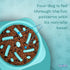 Non-Slip Slow Feeder Dog Bowl | Anti-Choke Design | Promote Healthier Eating Habits for Your Dog's Mealtime