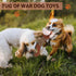 Squeaky Dog Toy with Crinkle Paper, Interactive Plush Chew Toy for Puppies and Dogs, Great for Tug of War