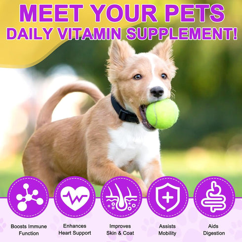 Dog Multivitamin Treats, 15 in 1 Tablets with Glucosamine, Cranberry, Milk Thistle, Supports Joint & Digestion