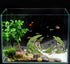 Novelsite Fish Tank Accessories, Premium Aquarium Decorations, Rock Ornaments for Aquatic Beauty, 8.5" W x 4.5" H