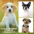 Silver Cuban Dog Chain Collars, Metal Choke Collar with Secure Buckle, Pet Crystal Necklace for Small Medium Large Dogs