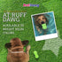 Ruff Dawg Peanut Crunch – Floating, Bouncy Fetch Toy for Medium to Large Dogs, Interactive for Outdoor Play