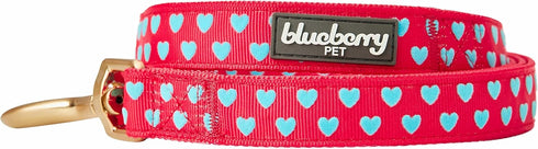 Blueberry Pet Valentine's Day Dog Leash - Velvety Soft-Touch Heart Flocking Lead for Medium Dogs, Lust Red, 5 ft x 3/4"