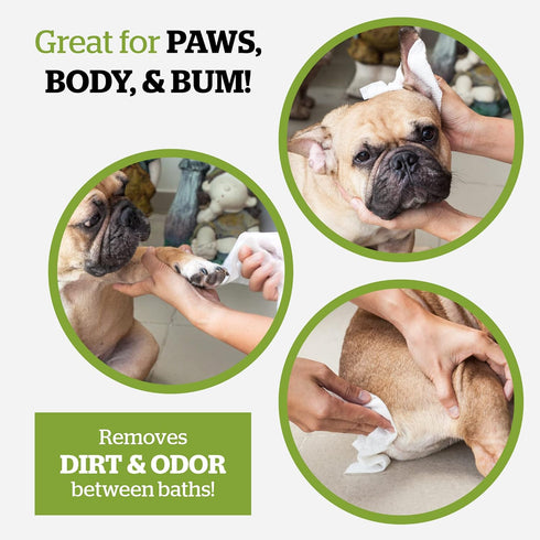 Pogi's Dog Grooming Wipes, 100 Plant-Based, Hypoallergenic Wipes for Cleaning and Deodorizing