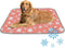 imiBBWQu Dog Cooling Mat Star White Orange Pet Ice Mat Washable Cat Cooling