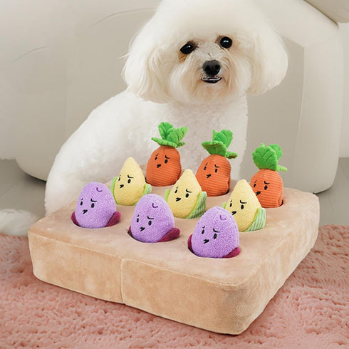 Generic Carrot Toy for Dog | Squeaky Interactive Slow Feeder,Puppy Carrot Toys with Carrots - for Pet Puppy Kitten