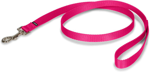 PetSafe Nylon Dog Leash - Strong, Durable Traditional Style with Easy Bolt Snap (3/4 in. x 3 ft., Raspberry Pink)