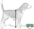 Dog Diggin Designs Runway Pup Collection, Unique Squeaky Plush Dog Toys, Fashion Accessories