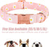 Cotton Dog Collar for Small Dogs, Adjustable Cute Boy Girl Collars with Metal Buckle (Baby Pink Daisy, S)
