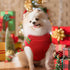 Dog Christmas Sweater Cute Snowman Costume for Small Medium Large Dogs - XXS, Red Green Stripe Snowman