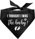 I Thought I was The Baby Dog Bandana, Triangle Scarf Accessories for Small Medium Large Dogs, Pregnancy Announcement