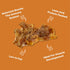 Skona Single-Ingredient Chicken Breast Jerky Treats - 4oz, Lean Protein, Hypoallergenic, USA Made