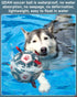 QDAN Dog Toys Soccer Ball with Straps - 10 Inch Durable Herding Ball for Extra Large Dogs, Outdoor Water Toy