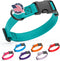 Dogline Biothane Waterproof Dog Collar with Quick Release Buckle, Fits Small to Large Dogs, Teal 1" W 15-23" L