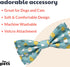 Huxley & Kent Bow Tie for Pets, Chicks & Eggs (Large), Easter Spring Velcro Collar Attachment for Dogs & Cats