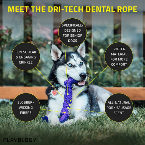 Playology Silver Dri-Tech Dental Rope Dog Toy for Large Senior Dogs (35lbs and Up) - All-Natural Pork Sausage Scented