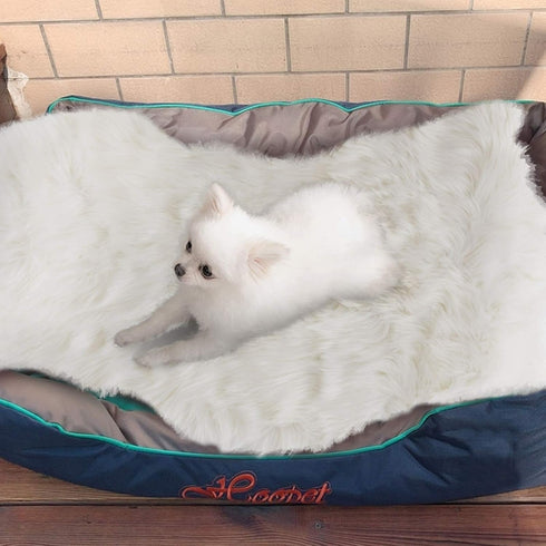 Faux Fur Dog Bed Rug, Plush Fluffy Mat for Dogs and Cats, Luxury Soft Faux Sheepskin Area Rug, White, 24 by 36 inches