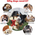 Beef Flavor Durable Nylon Bone Dog Toy for Medium and Large Breeds (RED)