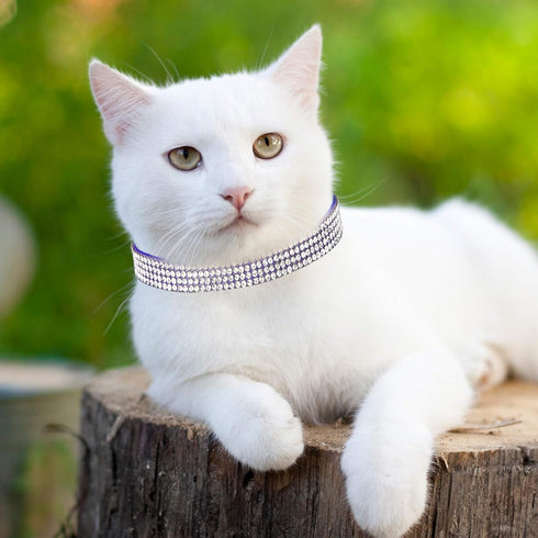 Weewooday 4 Pieces Rhinestones Cat Collars with Bell, Breakaway Pet Accessories in Soft Velvet, 4 Colors (S, Pink, Red,