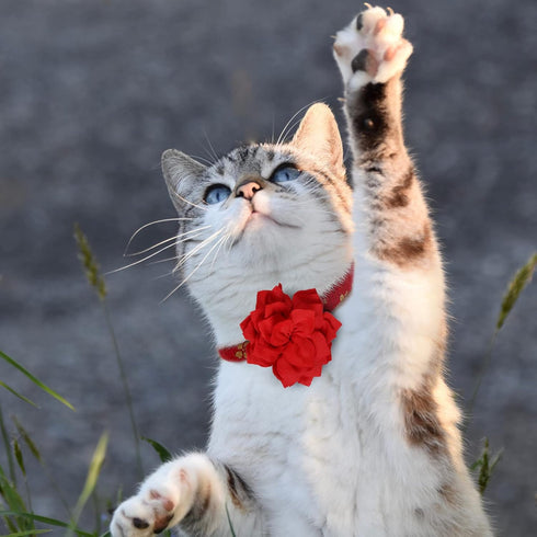 20 Pieces Dog Collar Flowers, Multi Color Pet Flower Bow Ties for Grooming Cat and Dog Accessories