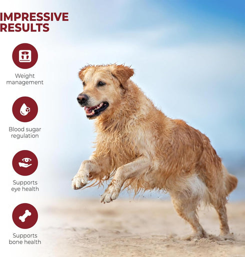 Mr. Ros Marine Phytoplankton: Supercharge Your Dog's Health (3.5 oz / 100 g), Essential Nutrients for Shiny Coat,