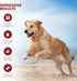 Mr. Ros Marine Phytoplankton: Supercharge Your Dog's Health (3.5 oz / 100 g), Essential Nutrients for Shiny Coat,