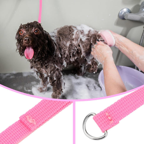 Hypeety 6 Pcs Bulk Pack Slip Leads Dog Pet Grooming Kennel Small Animal Control Shelter Leash