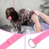 Hypeety 6 Pcs Bulk Pack Slip Leads Dog Pet Grooming Kennel Small Animal Control Shelter Leash
