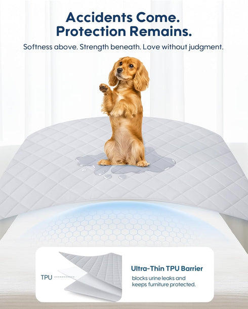 >0.5, 56 82 Inch KASBAH Dog Cooling Blanket & Mat, Waterproof Pet Blankets for Couch, Bed and Car Seat, Washable