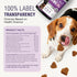 200pcs Glucosamine for Dogs Joint Support Supplement Dog Hip and Joint Chondroitin Chews Treats with MSM Dog Joint Pain