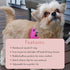 Comfort Fit Step-in Dog & Puppy Harness - Adjustable Soft Padded All Weather Vest for Small to Medium Dogs