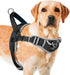 ADVENTUREMORE No Pull Dog Harness for Large Dogs - Reflective Breathable Vest with Easy Control Front Clip
