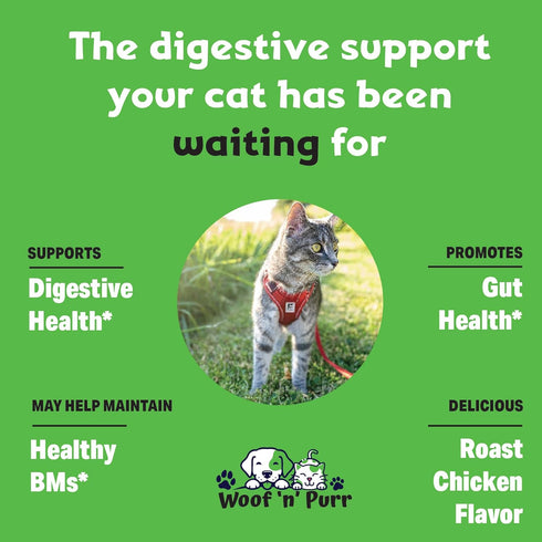 Cat Digestive Support - Digestive Enzymes for Cats, Probiotic Digestive Aid - 1 fl oz