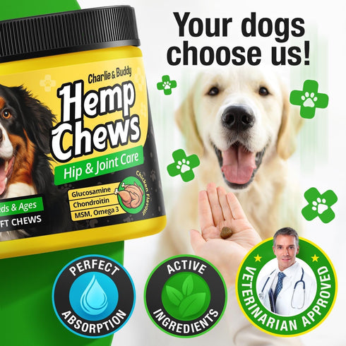 3 120 Glucosamine for Dogs - Hmp Calming Chews with Glucosamine & Chondroitin - Daily Support with MSM, Omega