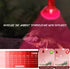 AOMRYOM 100W Infrared Heat Lamp Bulb, 2 Pack Red Light for Pet Lizards, Bearded Dragons, Snakes & Reptiles