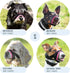 Gentle Muzzle Guard for Dogs - Prevents Biting and Chewing, Soft Neoprene Padding, Secure Comfort Fit, Training Guide