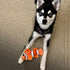 Snuggle Puppy Tender-Tuffs Small Dog Toy - Orange Clownfish for Small Breeds with Puncture Resistant Squeaker